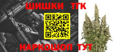 ешки Камышлов